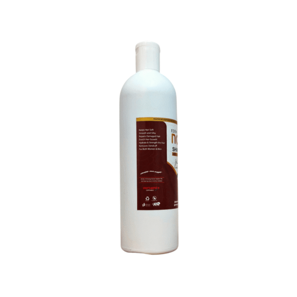 Eden Noni Anti Dandruff Shikkakai Shampoo - 500 gm 3